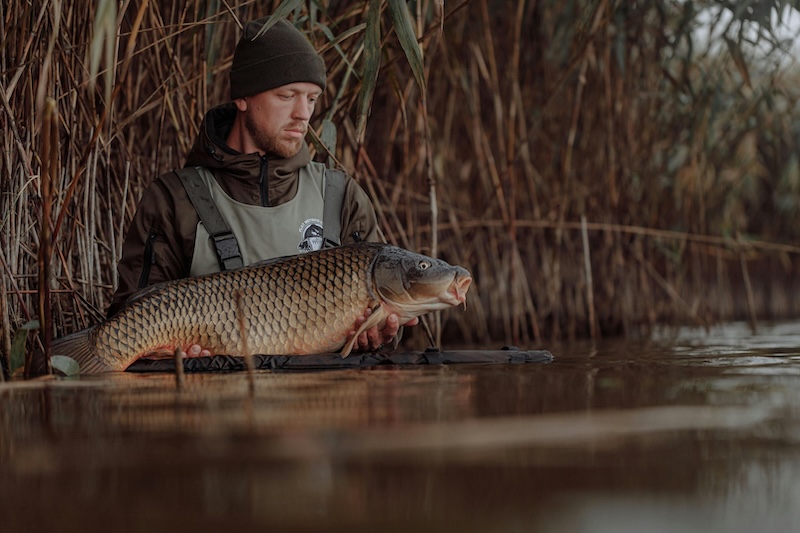 Guide ultime pour débuter la pêche à la carpe (2025)
